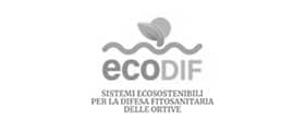 EcoDif